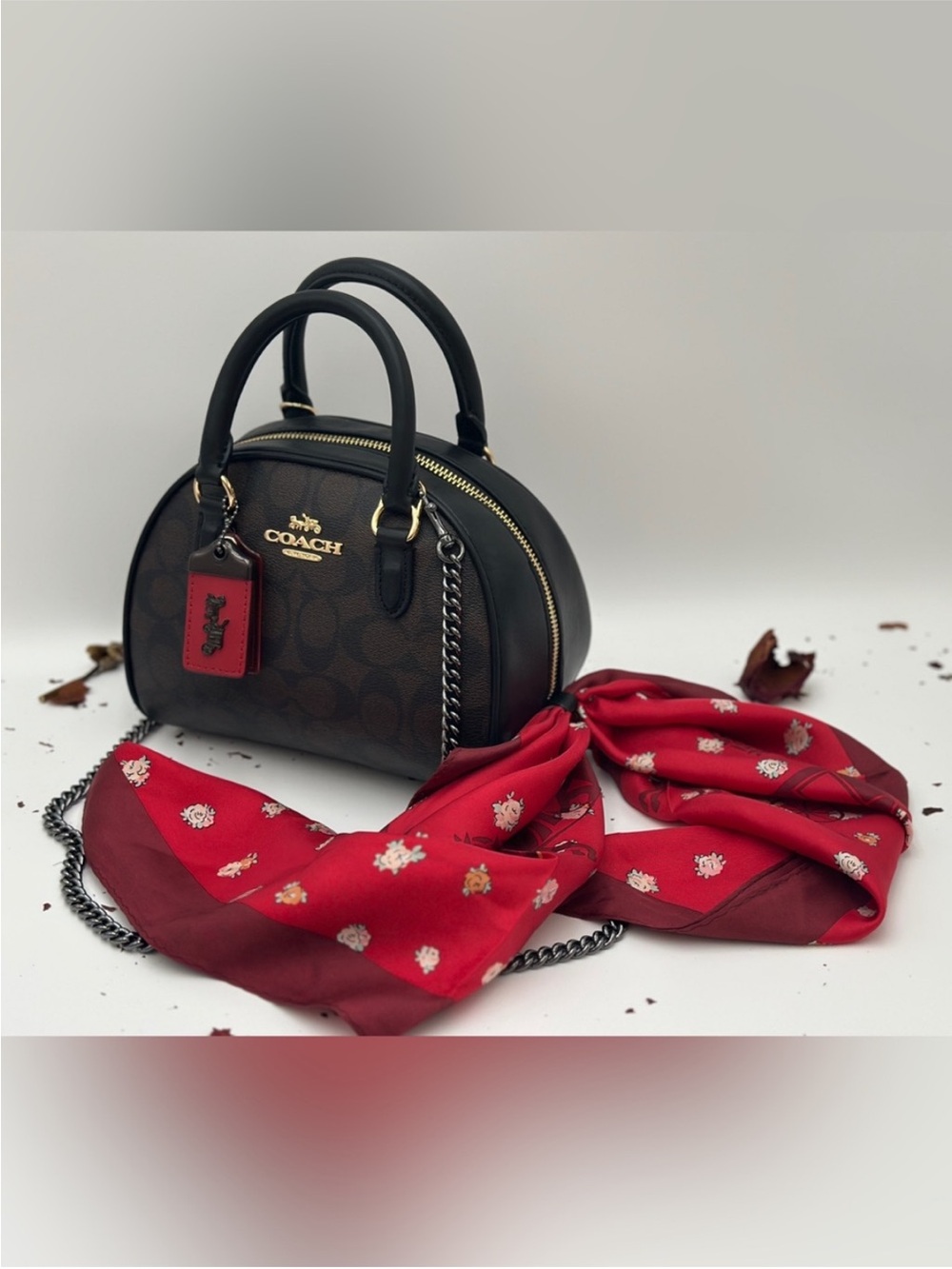Coach Sydney Satchel In Signature Canvas